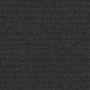 Sunbrella Plus Graphite