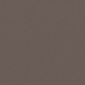 Sunbrella Plus Taupe