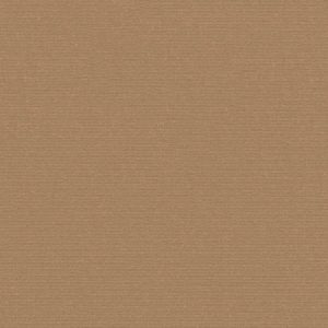 Sunbrella Plus Toast